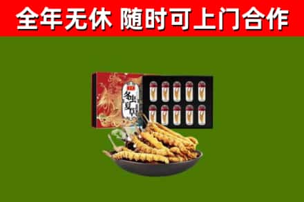 富源回收冬虫夏草价格