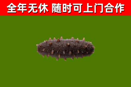 富源烟酒回收干海参.jpg