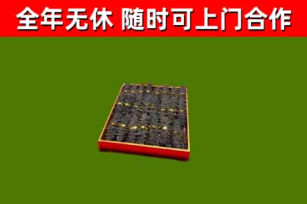 富源烟酒回收海参.jpg